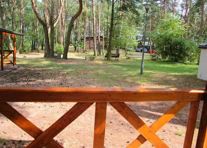 Sosenka Zaniemysl
