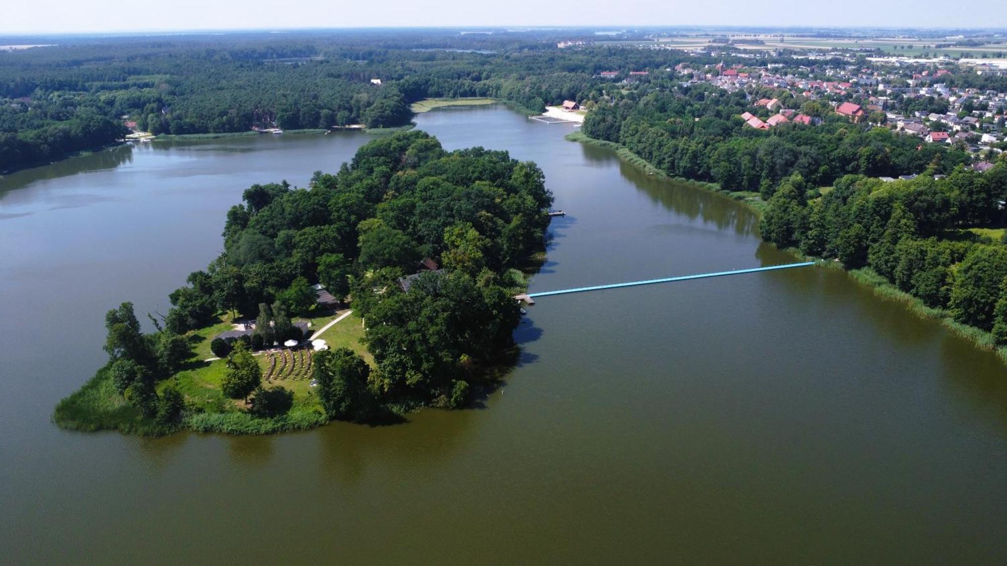 Sosenka * Zaniemyśl